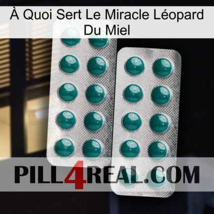 À Quoi Sert Le Miracle Léopard Du Miel dapoxetine2